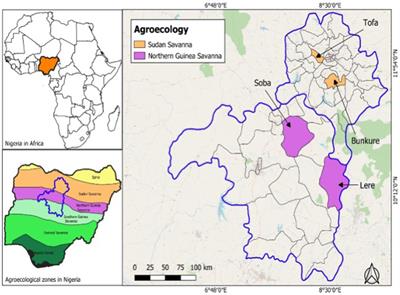 Soybean yield variability and predictability from applied phosphorus sources and rhizobia inoculation in Northern Nigeria